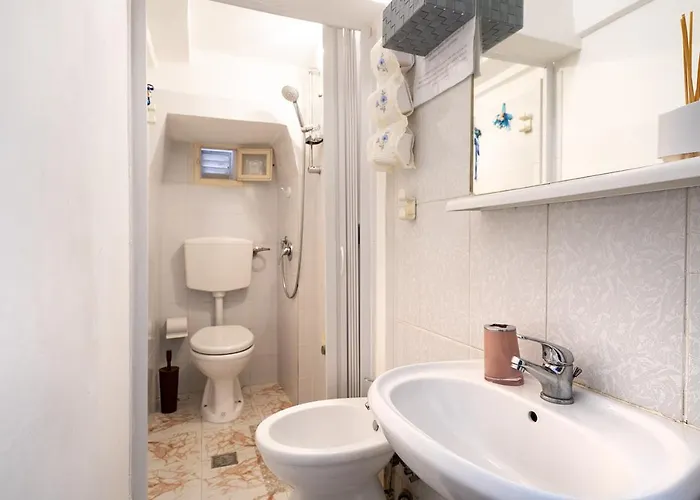 Chiarina 폴리나노 아마레